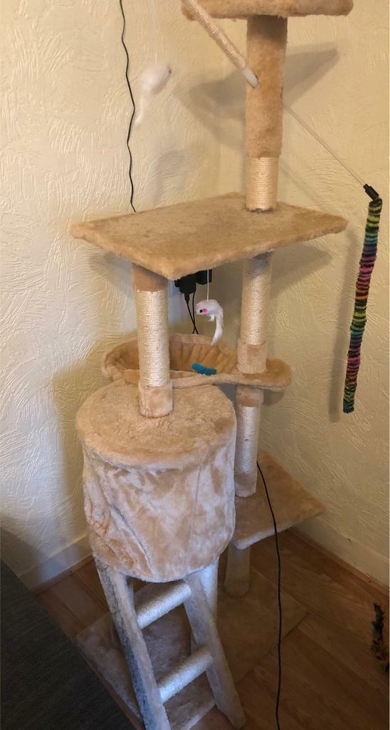 gumtree cat tree